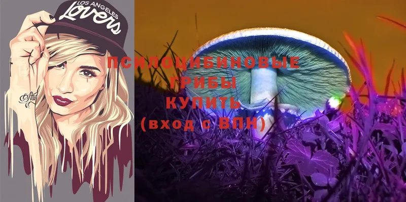 Галлюциногенные грибы Magic Shrooms  где купить   KRAKEN маркетплейс  Пермь 